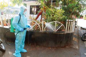 Coronavirus Outbreak: Dharavi records another 34 cases on Sunday
