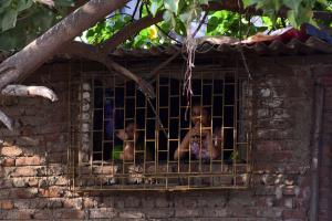 Tea vendor near CM Uddhav Thackeray's residence tests positive