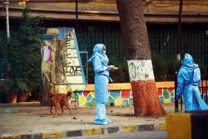 Mumbai records steepest rise in COVID-19 cases at 456