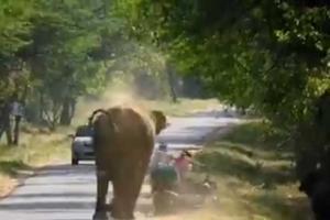Shocking! Viral video shows elephant chasing bikers away