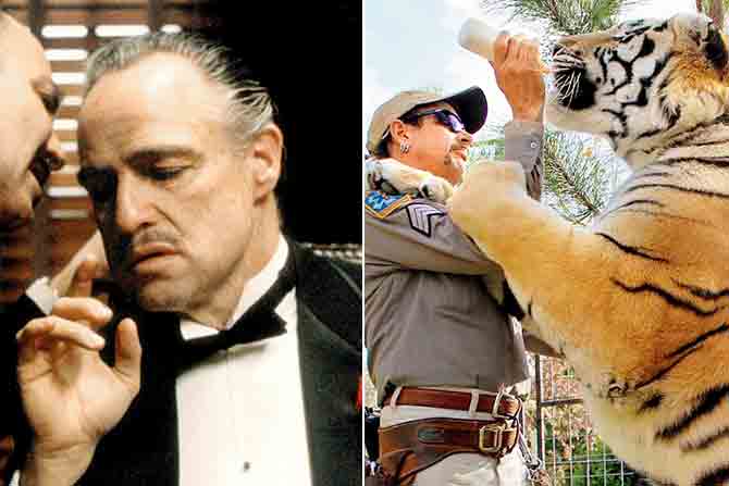 Stills of The Godfather and Tiger King: Murder, Mayhem and Madness