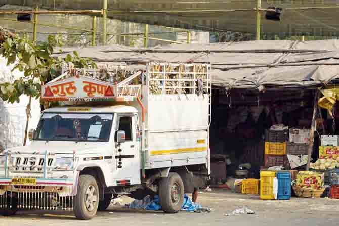  traders loading fruits in a vehicle in Chikuwadi market.