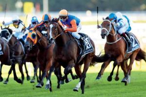 Horse racing goes on in Australia, Asia despite Corona