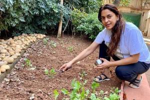 Lockdown diaries: Farmville time in B-Town!