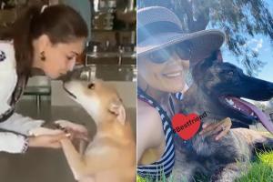Aww! Madhuri, Preity shower love on furry friends on National Pet Day