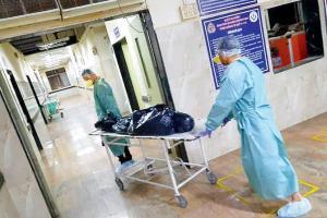 Sion hospital sets up dedicated morgue for COVID-19 deaths