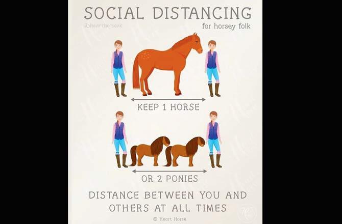 Neigh to distancing?