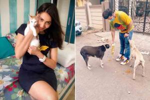 Rishina Kandhari and Paras Chhabra take care of animals during lockdown