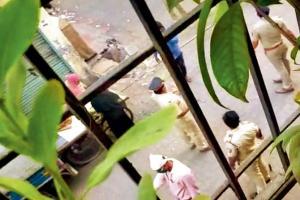 Sour cops make people loot woman's cart full of grapes in Bhandup