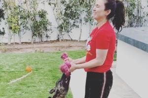 Preity Zinta uses pet pup Bruno as weight in funny workout video