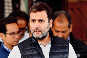 Rahul demands govt to bring back Indian workers stranded in Middle East