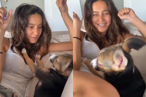 Farhan's video featuring Shibani and pet Tyson is both scary and funny!