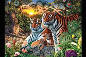 Lockdown brain-teaser! How many tigers can you spot in the picture?