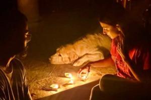 Virat Kohli and Anushka Sharma light diyas at their home