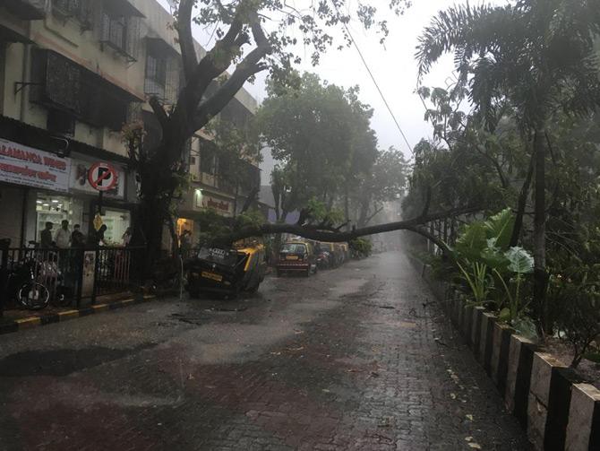 South Mumbai was badly hit as heavy rains led to water-logging on several roads and low-lying areas and to make the situation worse, several trees fell due to gusty winds, damaging vehicles, officials said.