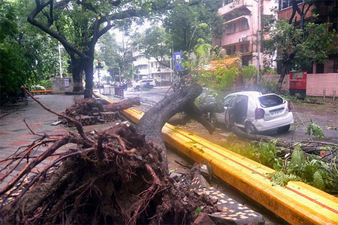 Several trees uprooted in Bandra, Churchgate and Colaba. In South Mumbai, a huge tree came crashing on a Mumbai Police vehicle in Colaba. No casualties were reported.