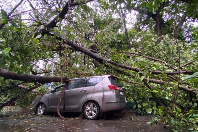 In photo: A huge tree crashed on a car parked near Wankhede Stadium, Churchgate in South Mumbai.