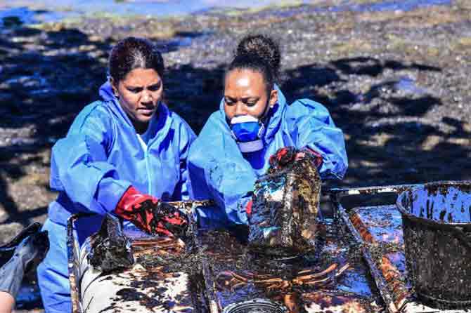 The Prime Minister also said that the government will seek compensation for the extensive environmental damage from the ship owners and declared the oil spill a national disaster.
In picture: Volunteers collect leaked oil from the MV Wakashio bulk carrier.