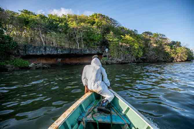According to the environmental activists, the oil spill threatens 35 years of work to restore the area.
In picture: A fisherman places handmade oil barriers into the sea at the Old Grand Port in Mauritius to block leaked oil.