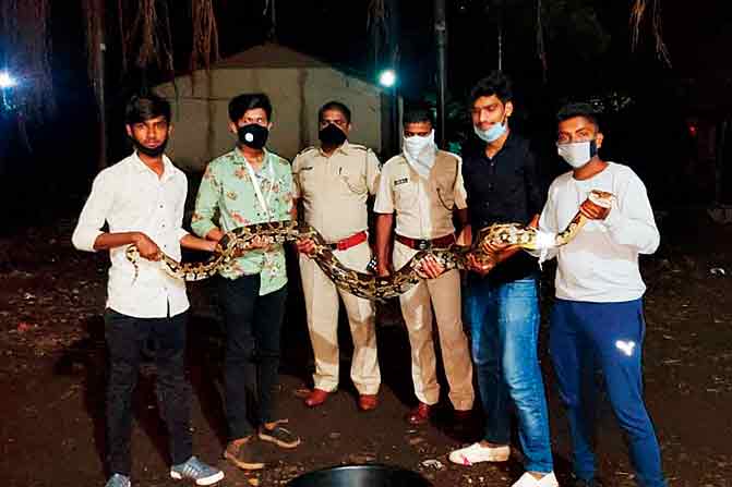 NGO and Forest Department officials with the python