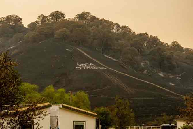 The wind countryfire has been the most deadly and destructive blaze, accounting for five deaths and 845 destroyed homes and other buildings. Three of the victims were in a home that was under an evacuation order.
In picture: A 'Vaca Strong' message is painted onto a burned hillside in Vacaville, California.