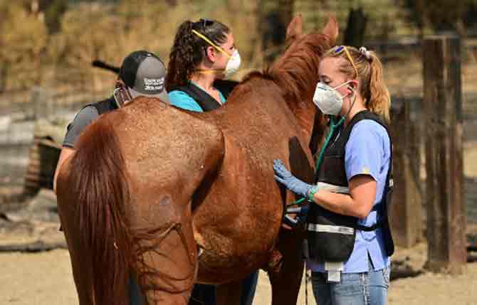 The Santa Cruz fire is one of three 