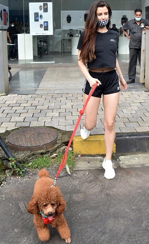 Apart from that, Giorgia Andriani is set to raise the temperature with an item number in Sridevi Bungalow starring Arbaaz Khan and Priya Prakash Varrier.