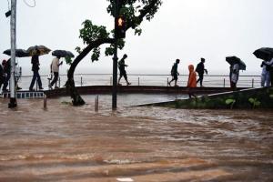 Mumbai Rains: 141 treefalls across city, SoBo flooded