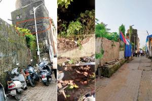 Mumbai: Wall fall raises alarm at Worli
