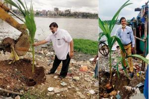 Mumbai: It's raining coconuts in Bhayandar