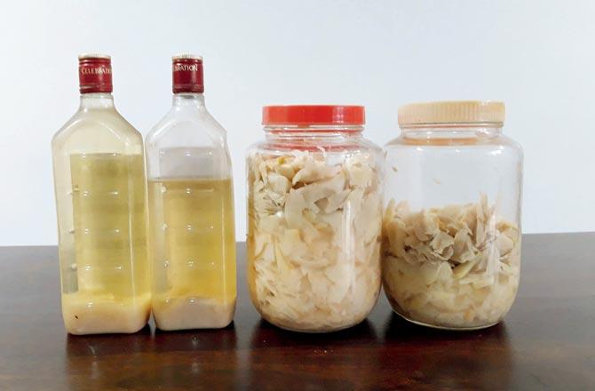Other fermented foods