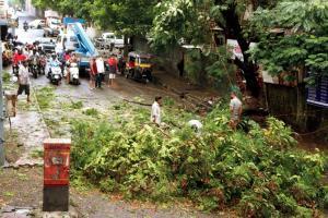 Mumbai Rains 2020: Two dead as heavy showers lashes city and suburbs