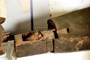 2,400-year-old mummy in Jaipur enjoys fresh air after 130 years