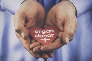 Declared brain dead, Pune woman saves five lives by donating organs