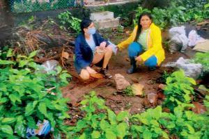 Strays starve as South Mumbai park bars feeding