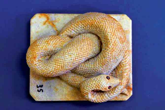 Carved snake in soapstone, c. late 19th century, Agra. Permanent collection of Dr Bhau Daji Lad Mumbai City Museum. pics courtesy/the museum