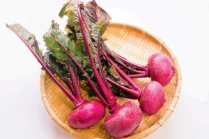 Trend Alert: Purple Food