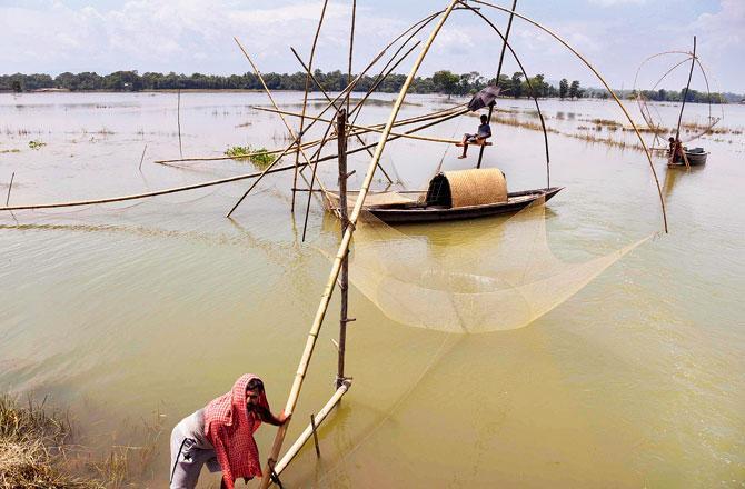 Villagers indulge in fishing in the flooded Pobitora Wildlife Sanctuary of Assam. Pic/PTI