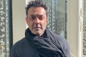 Bobby Deol: You have to knock on doors and ask for work, I did that