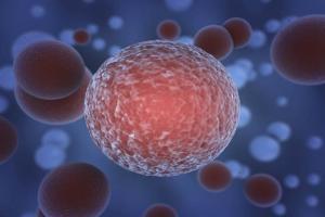 Cancer cases in India to rise by 12 per cent by 2025: Government report