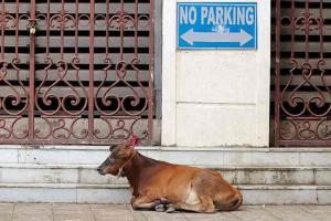 Mumbai Diary: Friday Dossier