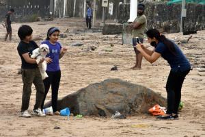 Mumbai Diary: Tuesday Dossier