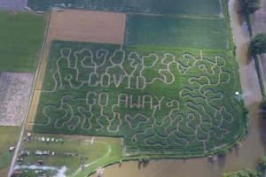 Farm models corn maze with 'COVID Go Away' message, amuses netizens