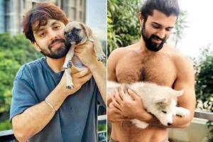 Lockdown diaries: B-town celebs spend quality time with furry friends