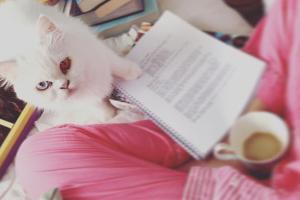 Jacqueline shares a quirky picture of her cat & the caption is unique