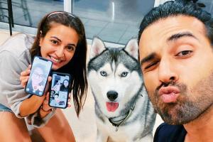 Kriti Kharbanda bakes a birthday cake for Pulkit's pet husky Drogo