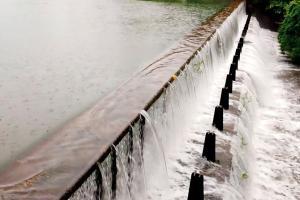 Mumbai Rains: Water stock in city's seven lakes finally touches 50%