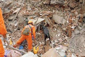 Raigad bldg collapse: Excavator operator praised for 'non-stop' work