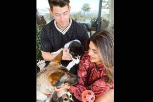 Priyanka welcomes new furry friend; her family portrait is adorable