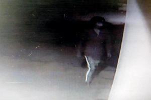 Mumbai Crime: CCTV footage lands Powai's rogue Spiderman in police web